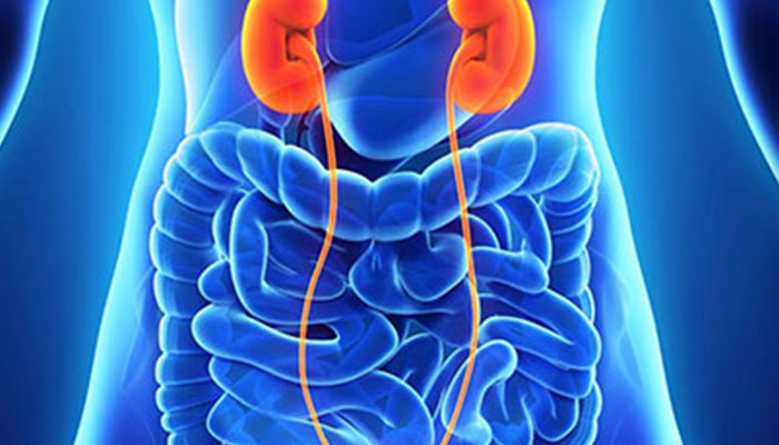 Genitourinary Cancer Treatment